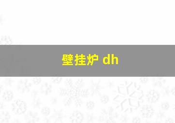 壁挂炉 dh